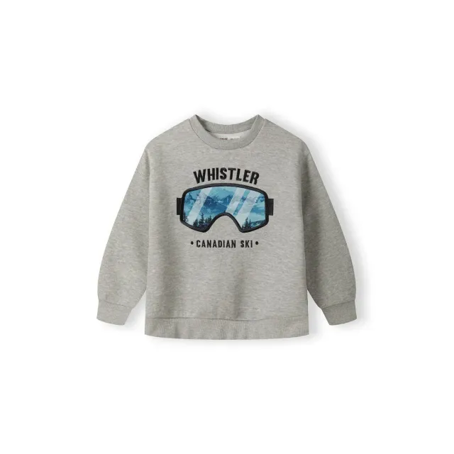 Minoti 41321 sweatshirt grå med print til drenge