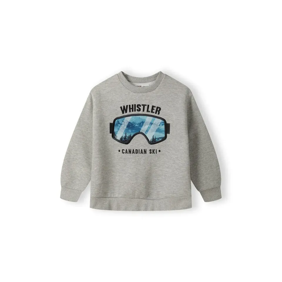 Minoti 41321 sweatshirt grå med print til drenge