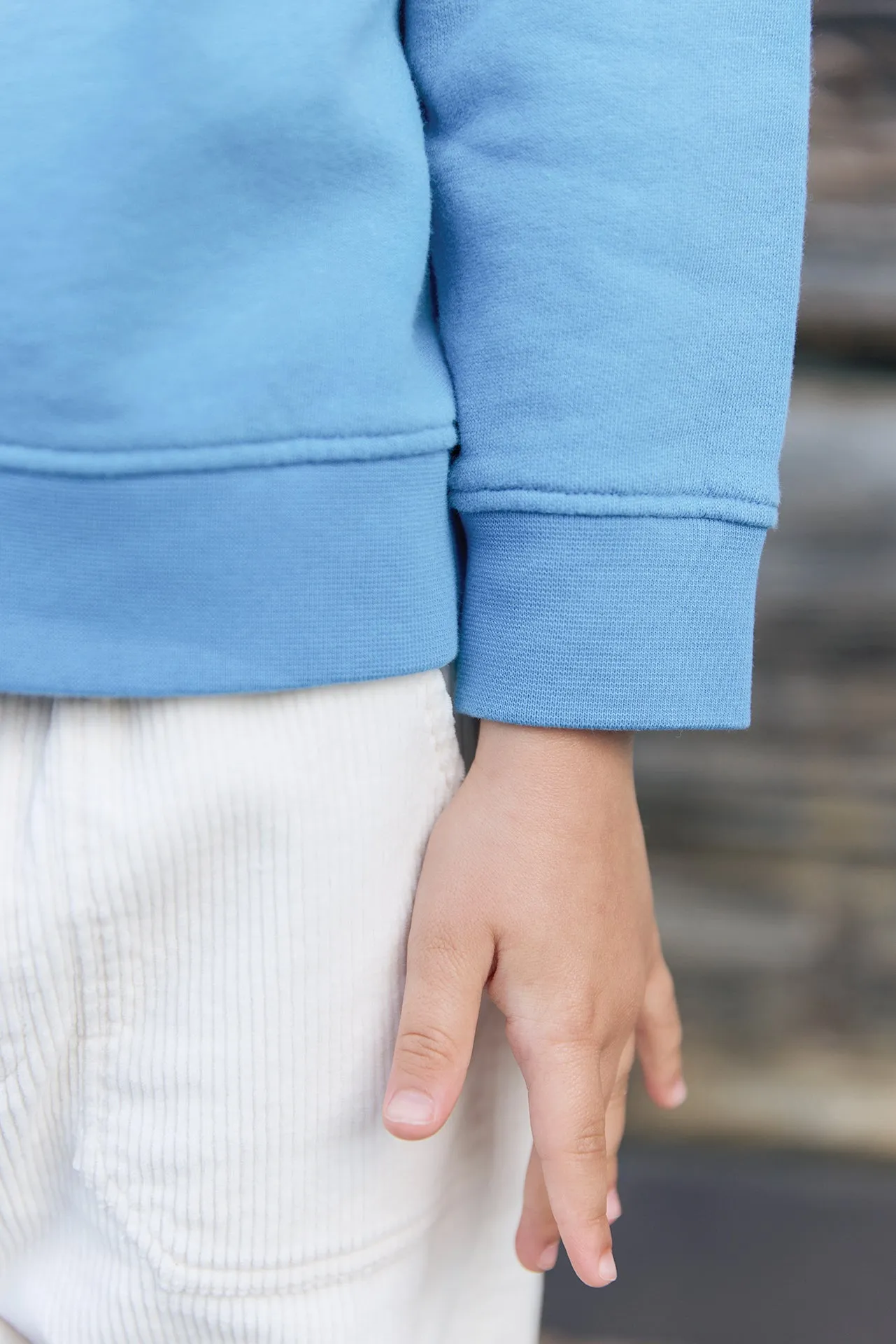 Bonton Moustic Bleu Nordic sweatshirt blå bomuld
