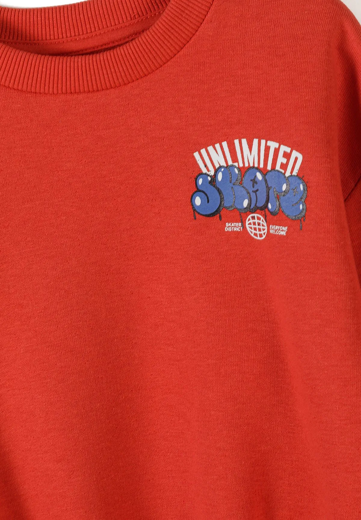 Minoti 44762 sweatshirt 2-pak rød blå