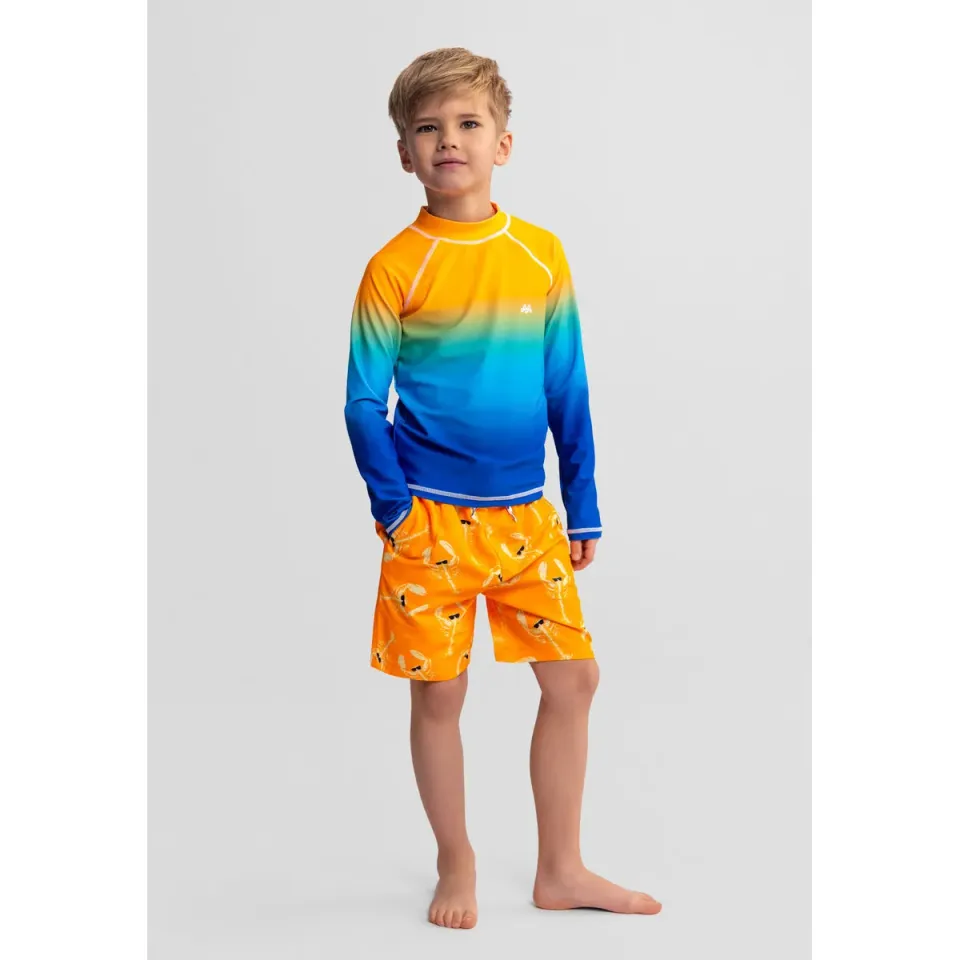Minoti 44509 badeshorts 2-pak hummer blå
