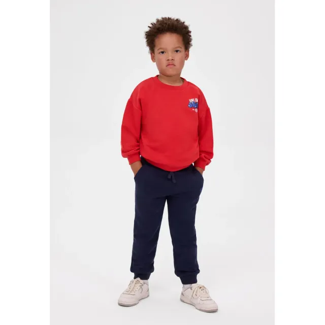 Minoti 44762 sweatshirt 2-pak rød blå