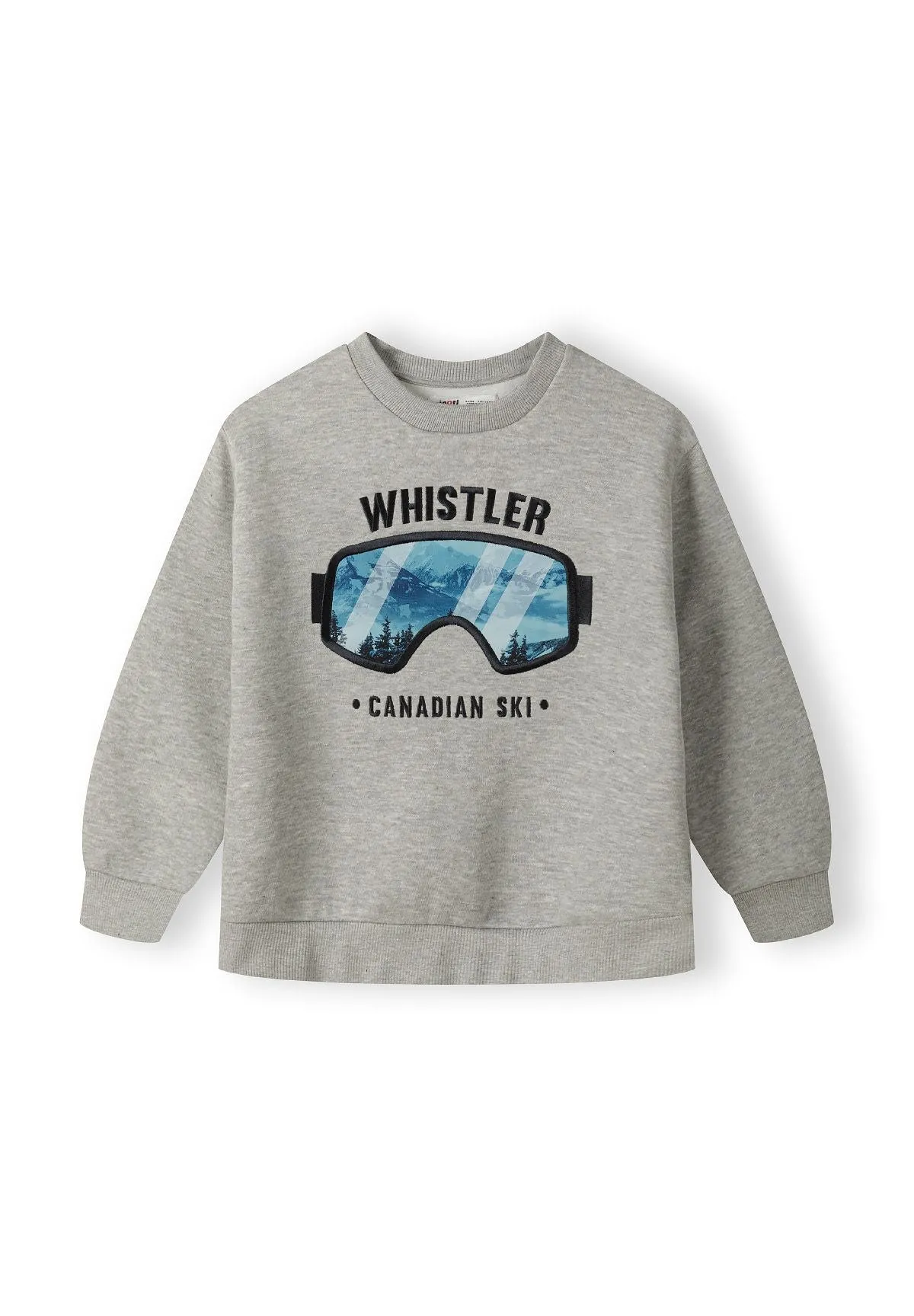 Minoti 41321 sweatshirt grå med print til drenge