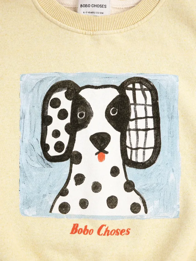 Bobo Choses Van Dog sb126ac041 sweatshirt børn