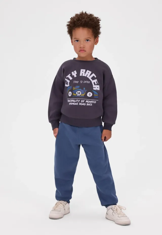 Minoti 45483 sweatshirt bil 2-pak drenge