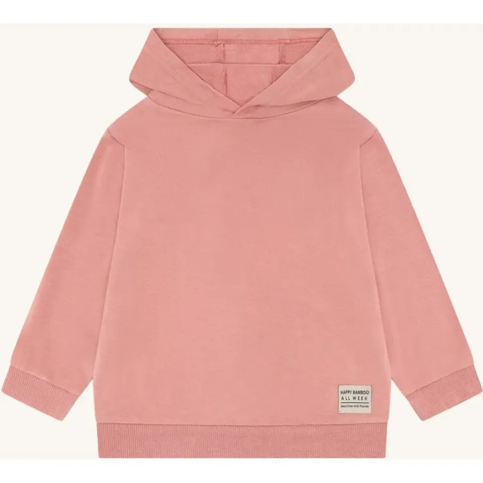 Hust & Claire Stinus Solid hoodie old rosie bambus