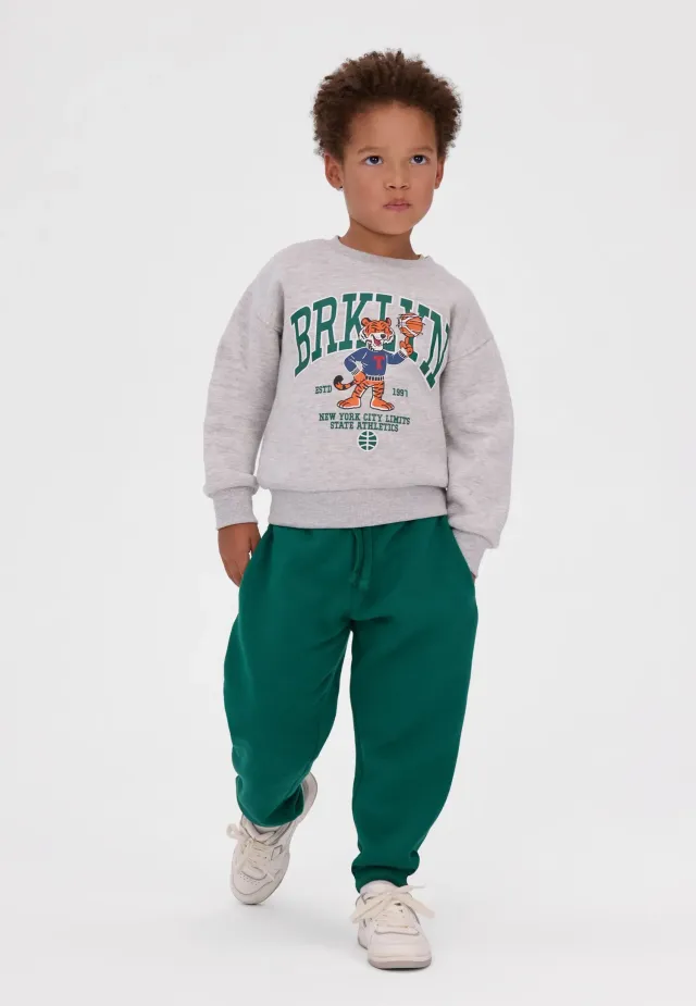 Minoti 45483 sweatshirt 2-pak med tiger til drenge