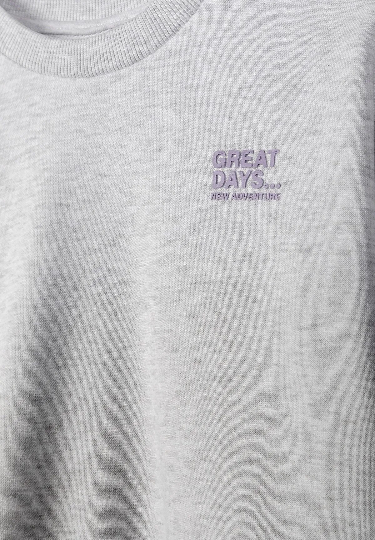 Minoti sweatshirt 2-pak lilla og grå bomuld