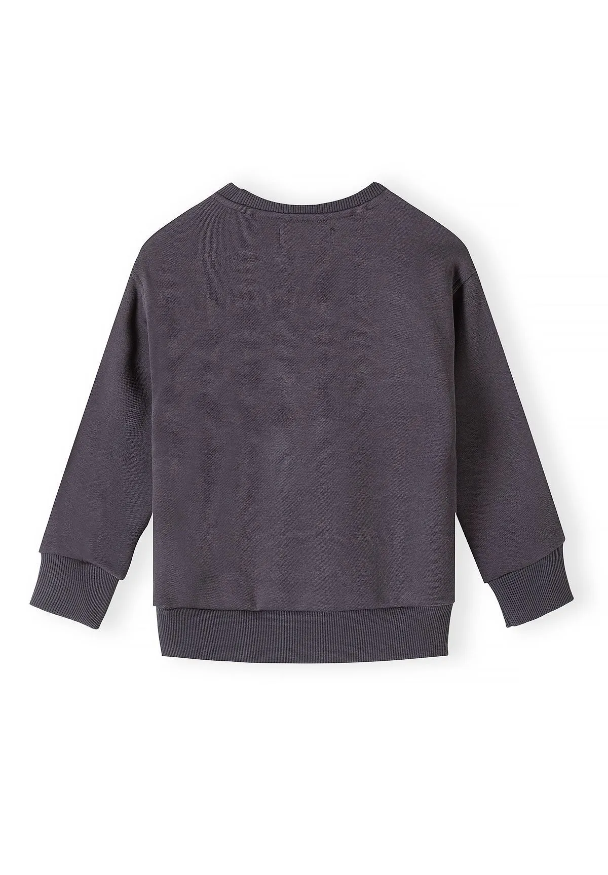 Minoti 45483 sweatshirt bil 2-pak drenge